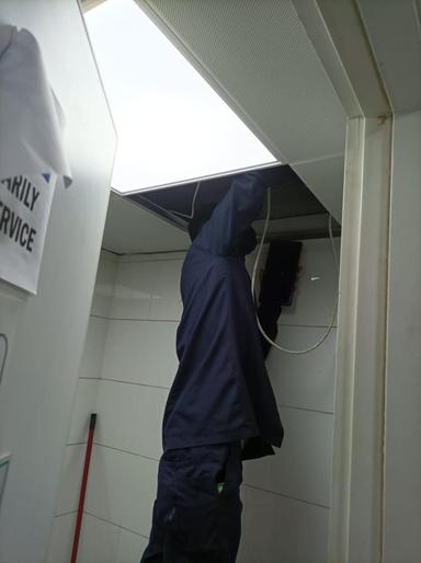 Pest control service 2