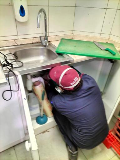 Pest control service 4