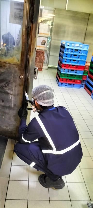 Pest Control Service 2