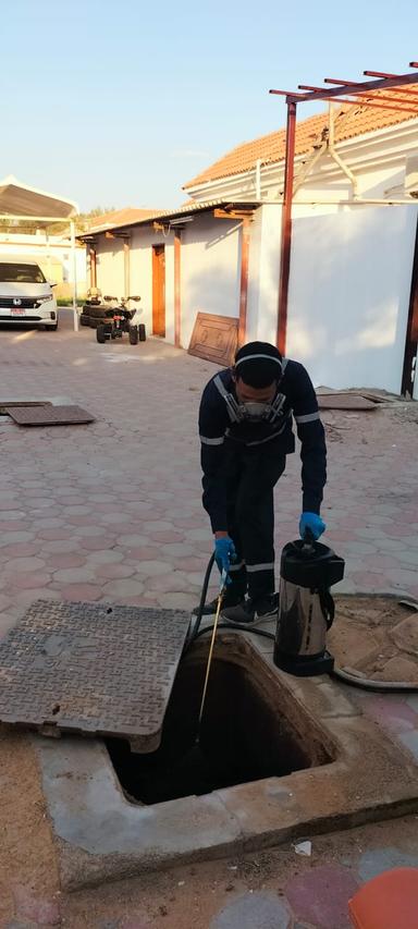 Pest Control Service 7