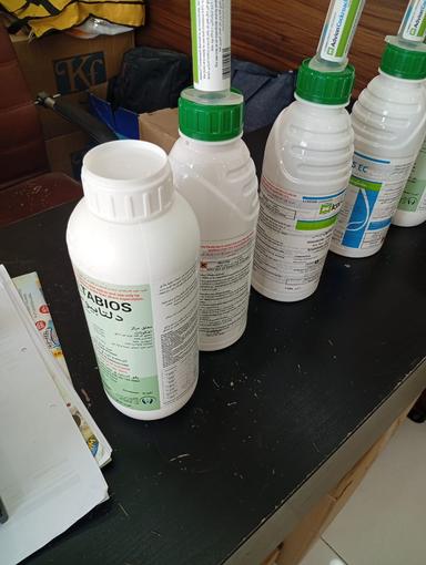 Pest Control Service 2