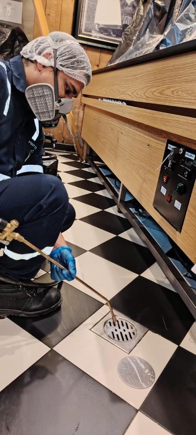 Pest Control Service 3