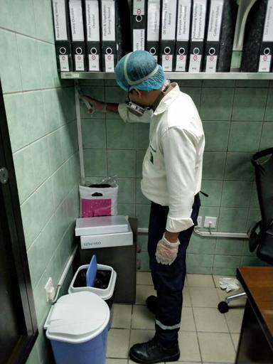 Pest Control Service 7