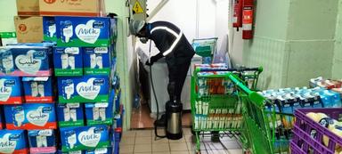 Pest Control Service 5