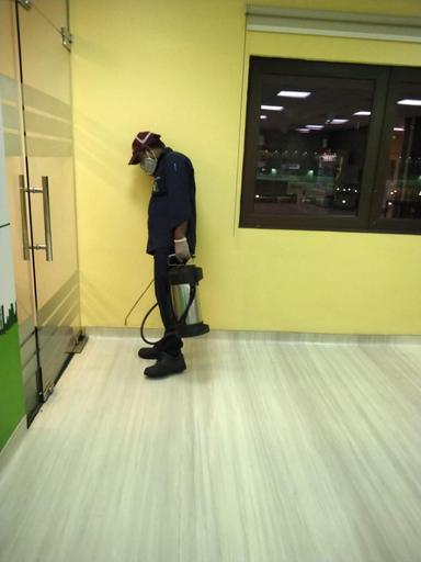 Pest Control Service 5