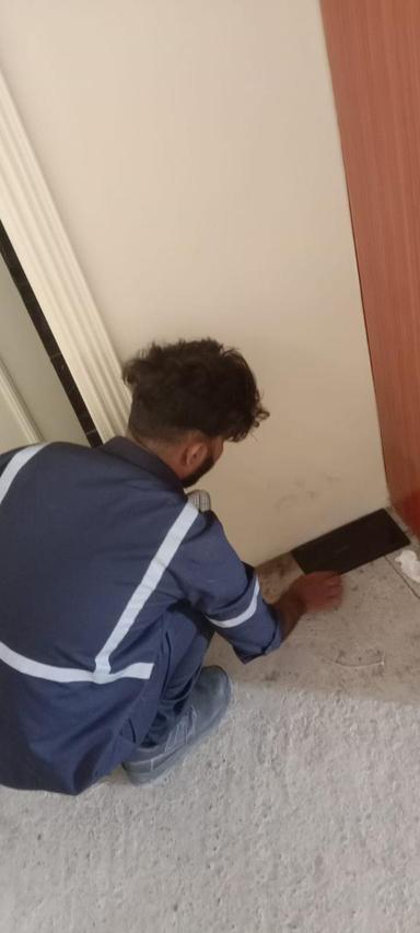 Pest Control Service 7