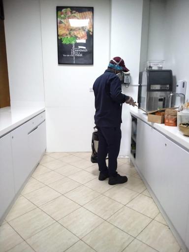 Pest Control Service 3