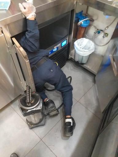 Pest Control Service 4