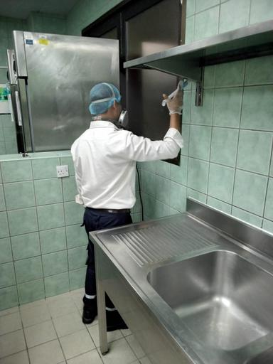 Pest Control Service 6