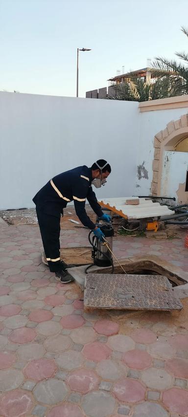 Pest Control Service 4